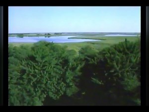 The most epic part of the soundtrack from a 1990 National Geographic special (reupload)