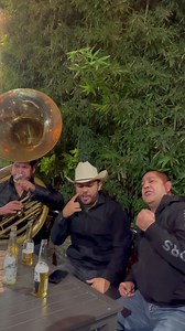 6.1K views · 254 reactions | Pobre leña de pirul que no sirves ni pa arder  | Tony Robles | Facebook