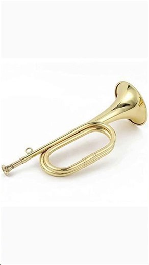 Unleash Your Inner Musician with the Tzong B Flat Trumpet Bugle!
