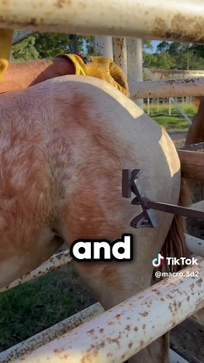 Mastering Voice Acting Techniques