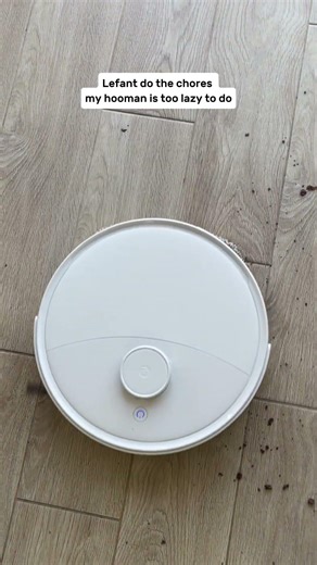 Lefant do the chores my hooman is too lazy to do#lefant #shorts #pov #floorcleaning #smartcleaning