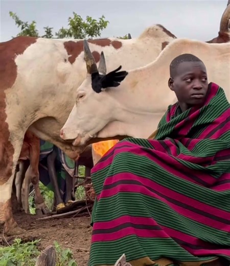 The Surma, also called the Suri, are an agro-pasture group living in the southwestern region of Ethiopia, near the Omo River Valley. They are known for a body aesthetic deeply linked to their cultural identity. They live mainly off pastoring, subsistence farming and a strong sense of community. Their territory is a space of forests, savannas and hills where cattle represent wealth, status and social security. #tribelife#lifestyle#nature#family#wild