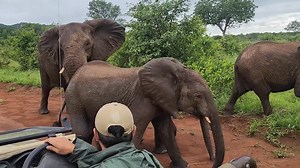 🇿🇦 10 DAYS OF EPIC ADVENTURE IN SOUTH AFRICA Wildlife. Wine. Coastlines. Culture. 🔥🌍 Day 1 – Arrival in Cape Town Meet & greet, sunset at V&A Waterfront with Table Mountain views. Day 2 – Cape Town Icons Table Mountain cableway, Bo-Kaap colors, Camps Bay beach & city vibes. Day 3 – Cape Peninsula Adventure Chapman’s Peak Drive, Cape of Good Hope, penguins at Boulders Beach 🐧 Day 4 – Winelands Escape Stellenbosch & Franschhoek wine tasting, scenic tram ride & gourmet lunch 🍷 Day 5 – Cape To