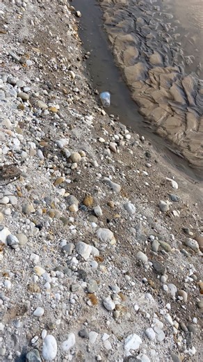 4.4M views · 18K reactions | The process of finding gold | finding gold in bedrock fragments | finding gold nuggets worth $2500 amazing ‼️ #goldhunter #golddiscovery #lookingforgold #goldrush #goldnugget #goldhunter #goldadventure | Gold Adventure | Facebook