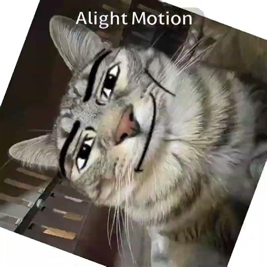 Doki doki brainrotted club🫩💔✌️ #helpmemakethismakesense #ddlc #fypシ #edit