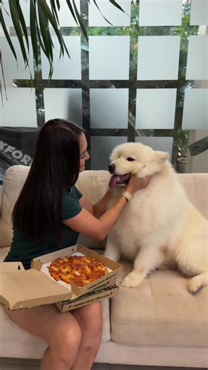 Savoring the Perfect Greenwich Pizza Slice