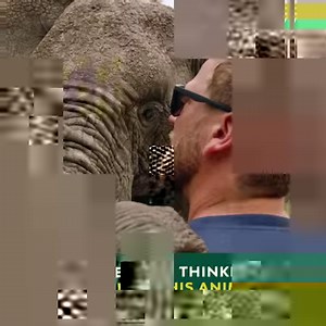 911K views · 10K reactions | These people are superheroes...for animals via Animal Planet | The Dodo | Facebook