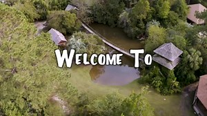 Welcome to chimp dinner! 🍽🐵 • • • #Animalphotos #loveanimals #animalinstagram #chimps #animalsphotography #animalsofinstagram #animallove #animaladdicts #animalovers #animallovers | Myrtle Beach Safari Wild Encounters Tour