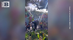 The Mardi Gras celebration in New Orleans hit a snag when the Rex float collided with a tree and caused delays to the festive parade. | Breitbart