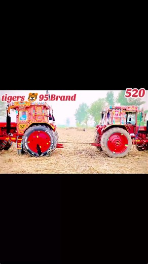 Explore the Belarustrackter Show Highlights