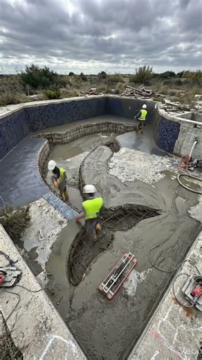 Building a dolphin swimming pool #construction #swimming #trending #shorts#dolphin 🐬