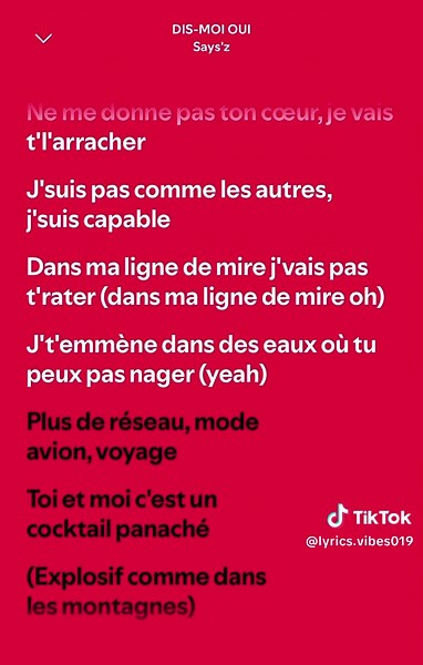 Say’z Dis moi oui lyrics — French TikTok song