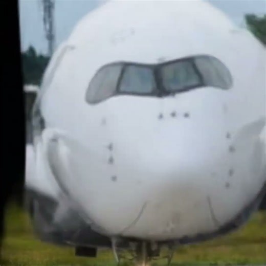 Airbus A350 Sings "I Like to Move It" ✈️🕺 | Epic Plane Face Dance Meme