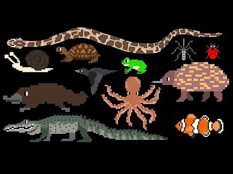 Oviparous Animals - ‪@TheKidsPictureShow‬