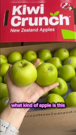 Come on, learn to know 7 types of apples pt.1