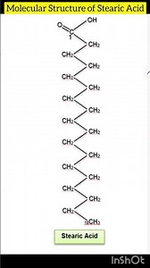 Molecular structure of stearic acid | neet biology | class 11th biology | @inditeaching