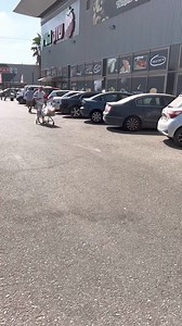 7K views · 445 reactions | 藍藍藍 | Eli Eliyahu | Facebook