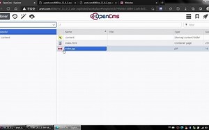 一个视频讲清楚opencms的多站点管理策略