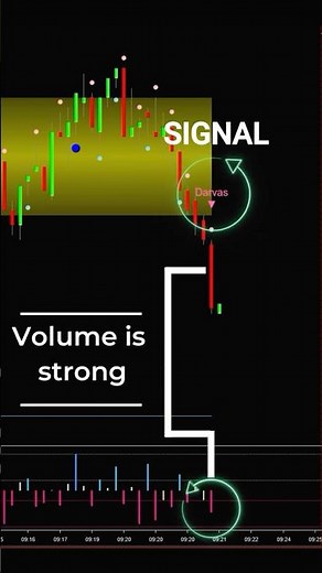 How to trade with Darvas Pro Max with Volume Delta