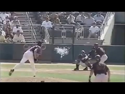 Randy Johnson Hits Bird