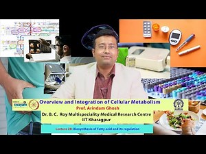 Lecture 28: Biosynthesis of Fatty acid and its regulation