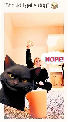 Should I Get a Dog? Cat vs Dog Rivalry is REAL