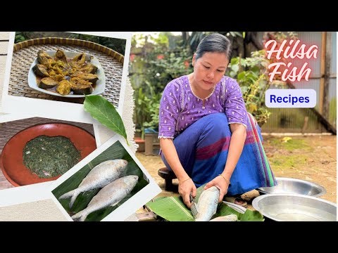 Hilsa Fish Recipes | The most favorite fish🐟of Bangladeshis | Countryside village cooking