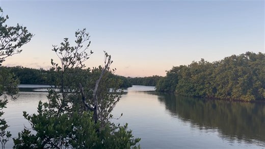 3K views · 173 reactions | Good morning from Cedar Key ️ | Living Cedar Key | Facebook