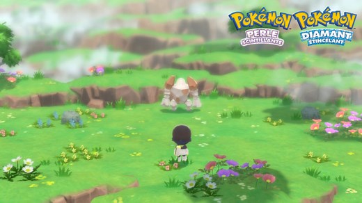 Regirock Pokémon Diamant et Perle : Où le trouver et comment le capturer ?