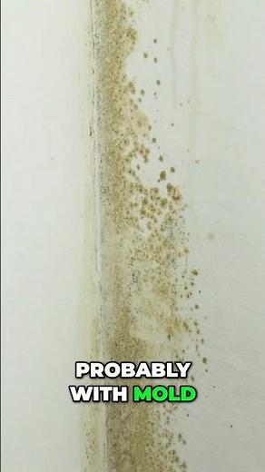 Mold Exposure & Detox Breathe Easier & Heal Your Body! #mold