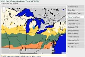 Controlling annual bluegrass seedheads on golf courses