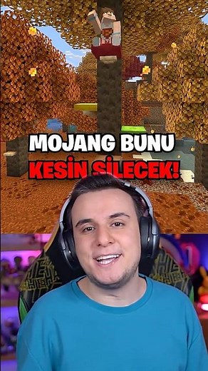 The New Minecraft Feature Mojang Will Likely REMOVE!