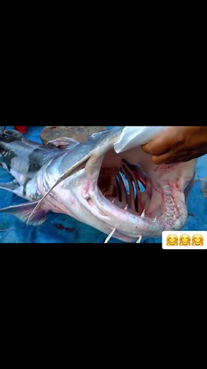 #aroundmebd #madara #vegvillagefood #villagecookingchannel1 #villagewomencooking #sabimadara #AroundMeBD2