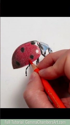 Let's Draw.. A Ladybird -This is such a fun beginner friendly tutorial #beginnerarttips #colorpencil