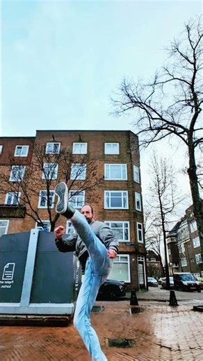 W.E.S.D.O. WIJSHEID SERIES 🥊🥋🧘‍♂️ #wesdowijsheidseries #wesdo #wesleywebbers