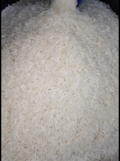 Satisfying ASMR Eating: Raw Rice Experience