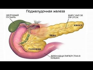 КАК ОЗДОРОВИТЬ ПОДЖЕЛУДОЧНУЮ ЖЕЛЕЗУ