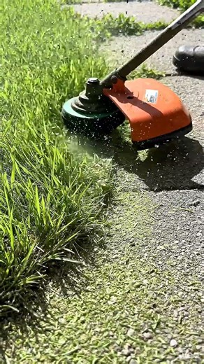 String trimmer cutting