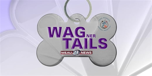 Wagner Tails marks four years of helping pets find homes