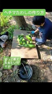 簡単へちまたわしの作り方。へちまの色が緑から黄緑になった頃に収穫して、自分がたわしにしたい大きさに切る。後は沸騰した鍋のお湯で煮て皮をむいて干すだけ。 #つぶら農園 #marumori