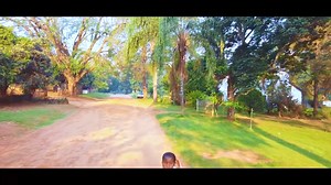 1.5K views · 100 reactions | Chipinge Woye | Chipingecelebszw | Facebook