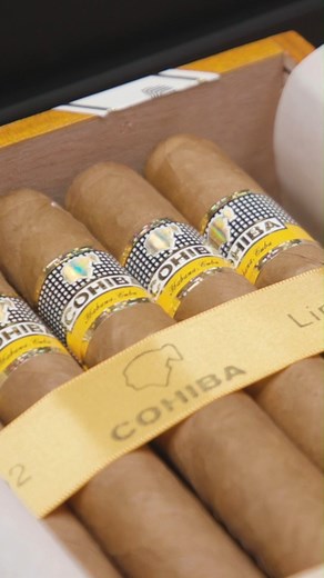 Il Mercato Nero Dei Sigari Cubani In USA | Insider Italiano