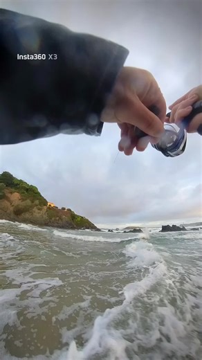 Robalito de 1,7 kg con el vinilo de confianzaaa 🎣🎣🎣 #spinning #pesca #robalo #lubina #fishing