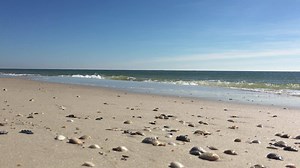 Wave 🌊 if you can hear Alabama beaches calling your name! | Visit Alabama's Beaches