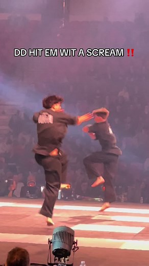 Funny Karate Video: DD HIT EM WIT A SCREAM‼️