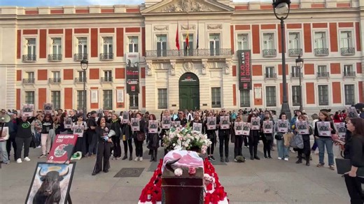 Anti-bullfighting demonstration in Puerta del Sol