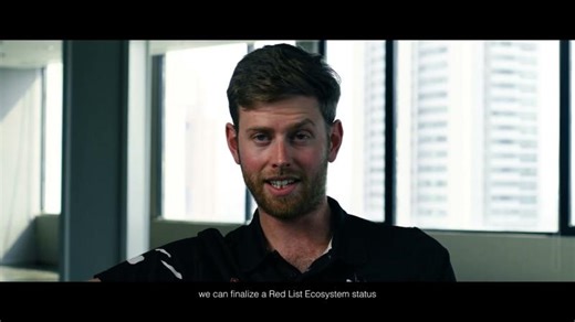 Coral Reef Ecosystems at Risk: Launching the Global RLE Initiative | MSC Foundation