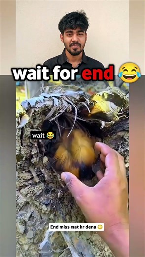 Epic Funny Fails Moments 😂 | Part 49 #shortsfeed #funny #trynottolaugh