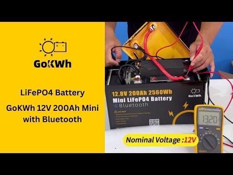 GoKWh 12V 200Ah Bluetooth LFP Battery– FULL TEST: INSIDE the Battery to Verify REAL Performance!