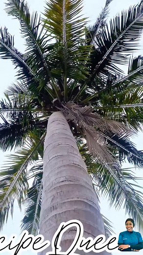 4.2K views · 813 reactions | Bake with me Let’s Bake My Yummy Fresh...